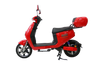 Electric scooter with step 500W motor city rode